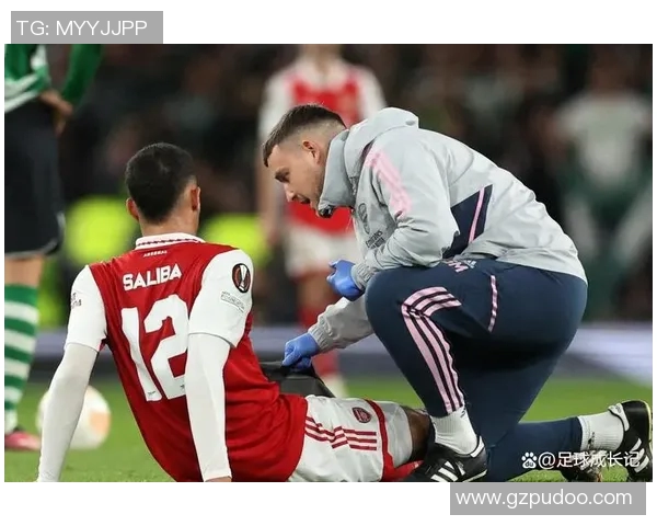 萨利巴与范德芬：英超防线的双城记——赛季数据深度对比